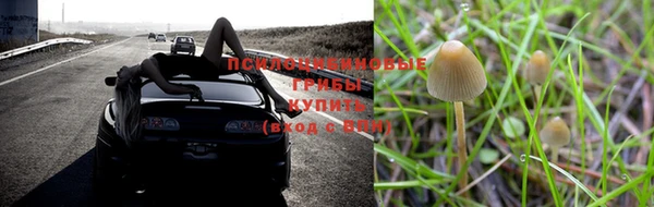 прущая мука Заволжье
